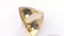 Imperial Topaz 7.3x7.00mm Trilliant