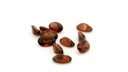 Almandine Garnet 6x4mm Oval