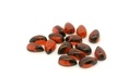 Almandine Garnet 5x3mm Pear Shape Cabochon 