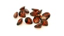 Almandine Garnet 5x4mm Pear Shaped 