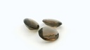 Smoky Quartz 9x7mm Oval Buff Top 