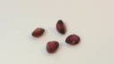 Ruby 5x4mm Pear Shape Pink Red 