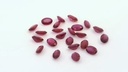 Ruby 3x2mm Oval Red