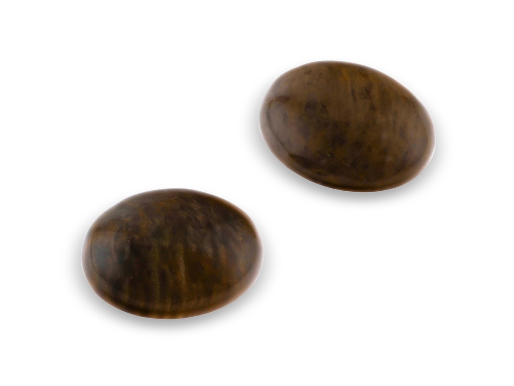 Petrified Wood 16x12mm Oval Cabochon (N)