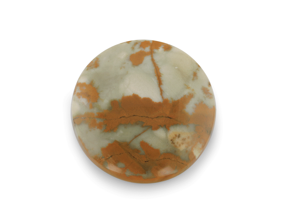 Rocky Butte Jasper 30mm Round Cabochon 