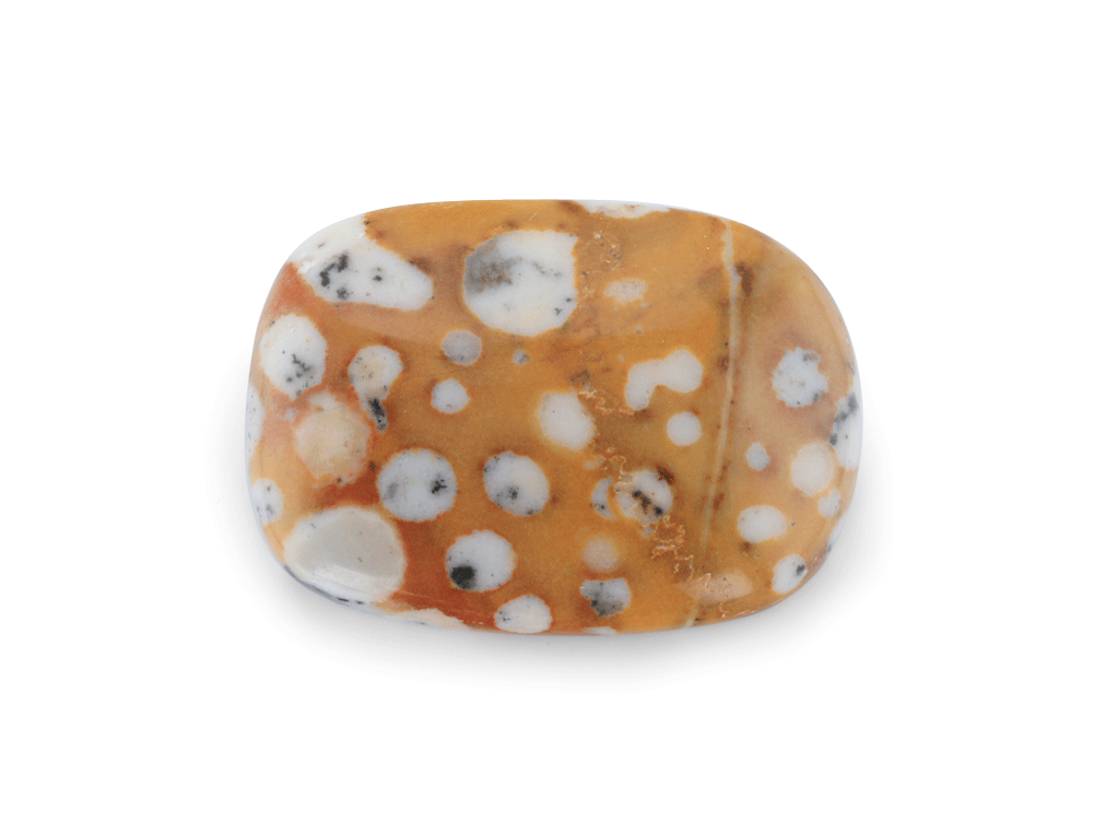 "Tigillites"Spotted Fawn Jasper 27x20mm Baguette Cabochon