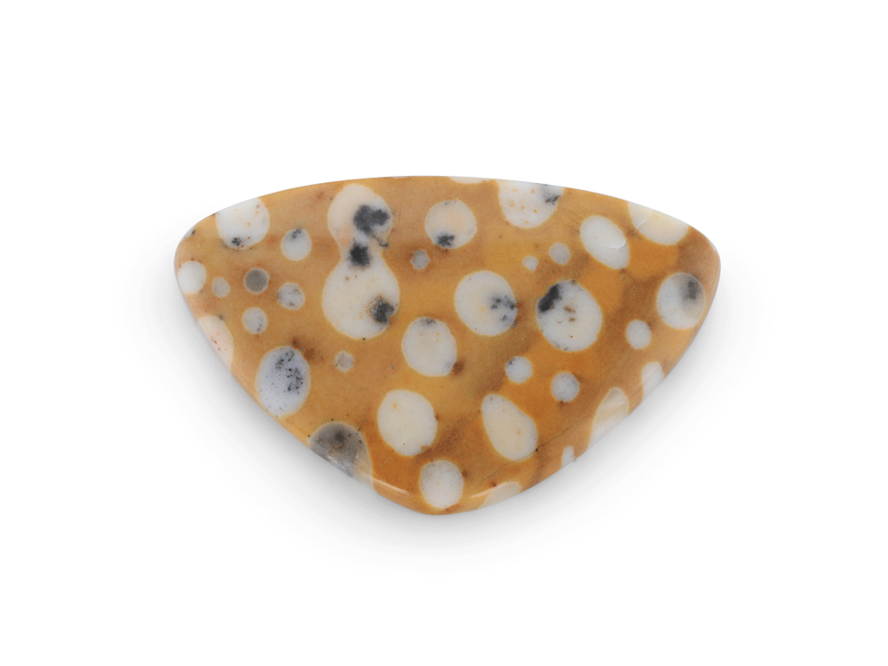 "Tigillites"Spotted Fawn Jasper 29x18mm Pear Cabochon