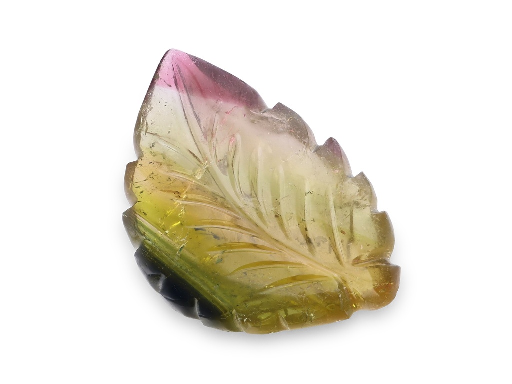 Bi Colour Tourmaline 29x18mm Leaf Carved