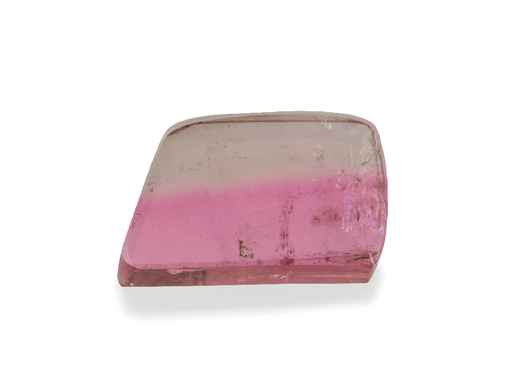 Watermelon Tourmaline 11x7.5mm Slice