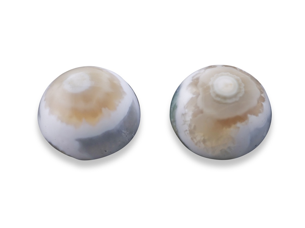 Ocean Jasper 12mm Round Cabochon Pair