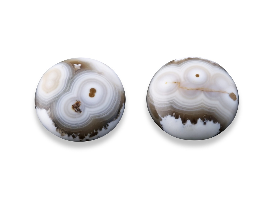 Ocean Jasper 18mm Round Cabochon Pair