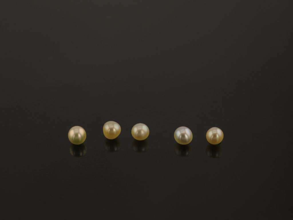 Akoya Pearl 1.50-2.00mm Round Cream Undrilled