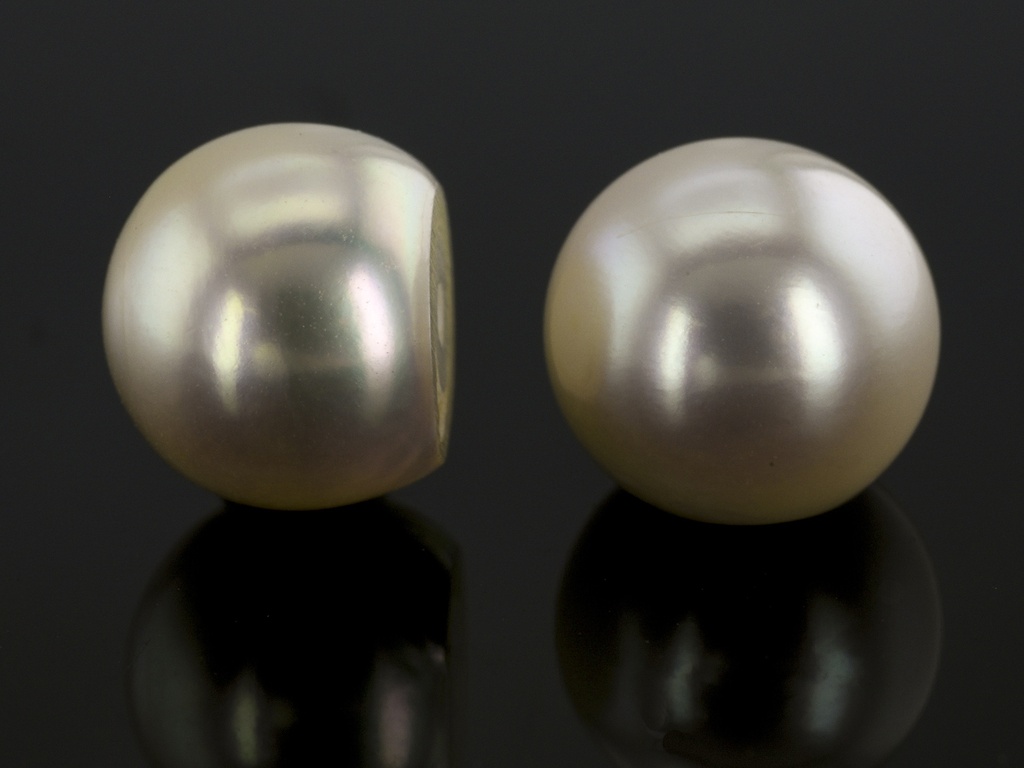 Akoya Pearl 7.50-8.00mm 3/4 Round Light Cream