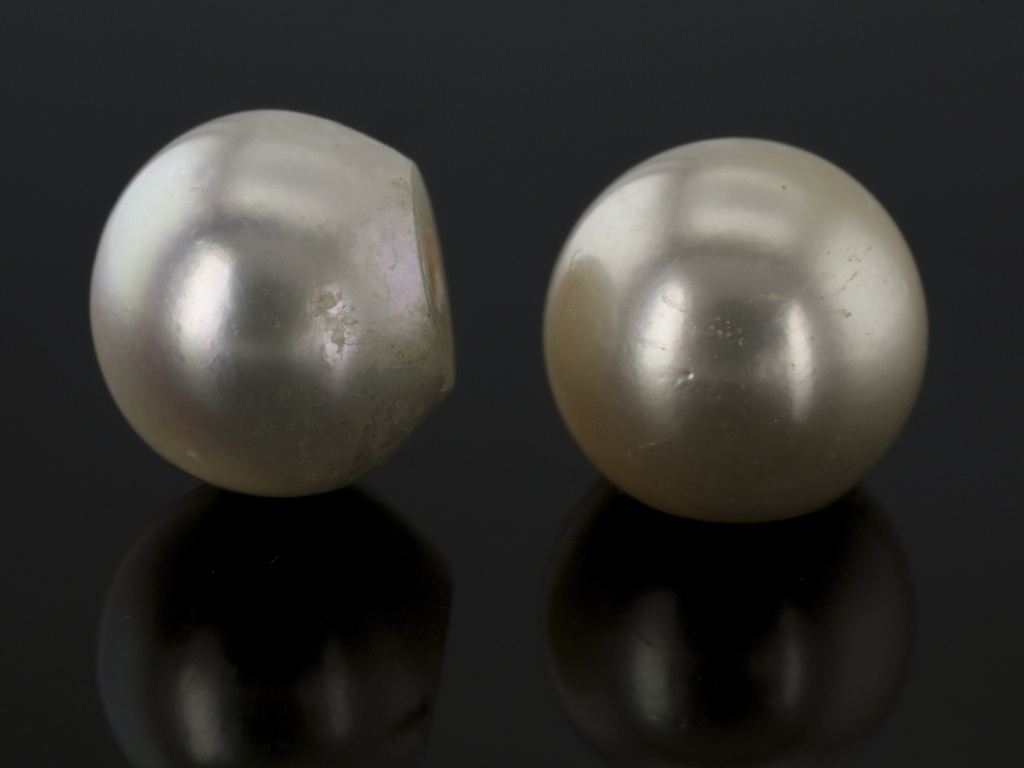 Akoya Pearl 8.50-9.00mm 3/4 Round Light Cream