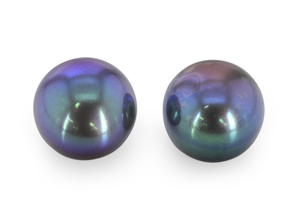 Freshwater Pearl 5.00-6.00mm Button Dyed Peacock Half Drilled 