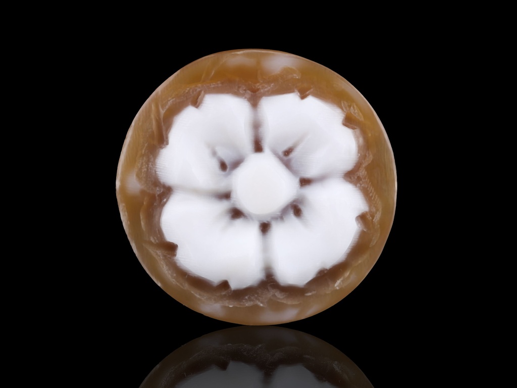 Italian Shell Sard Cameo Flower 14mm Round