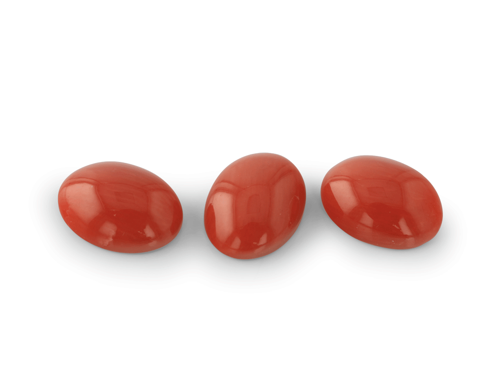 Coral 10x8mm Oval Cabochon Red