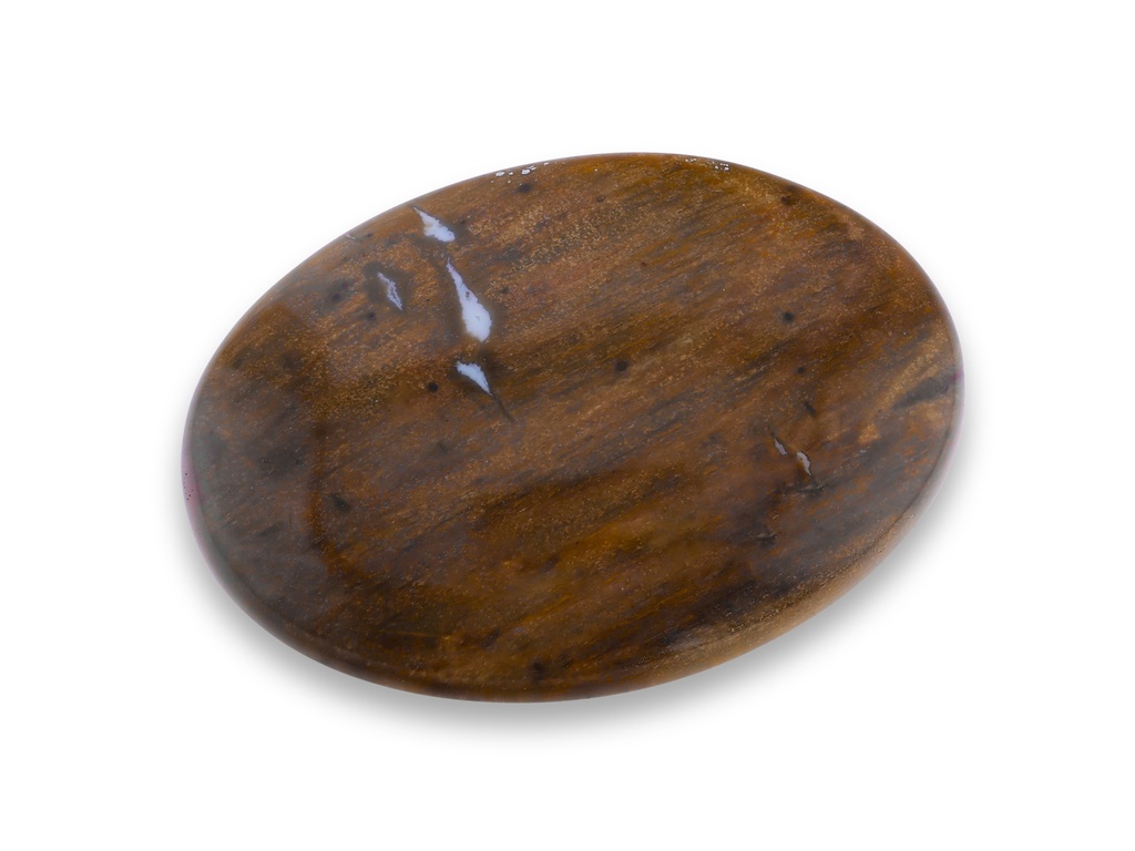 Petrified Wood 30x22mm Oval Cabochon