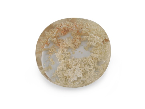 [QZX3604] Garden Quartz 25x23.5mm Oval