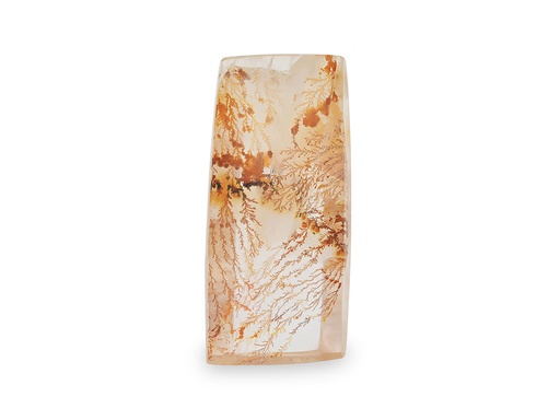 [QZX3532] Dendritic Quartz 25x10mm Rectangle