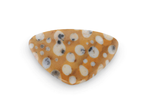 [ORNX3039] "Tigillites"Spotted Fawn Jasper 29x18mm Pear Shape Cabochon