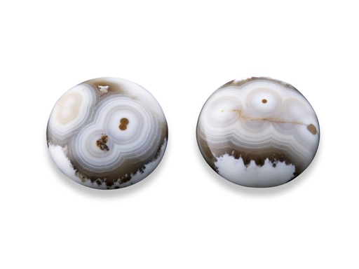 [QURC-18A] Ocean Jasper 18mm Round Cabochon Pair