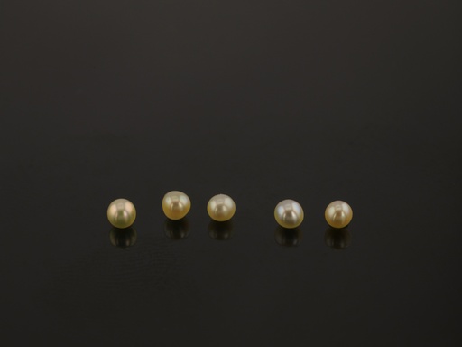 [JAUC01502] Akoya Pearl 1.50-2.00mm Round Cream Undrilled