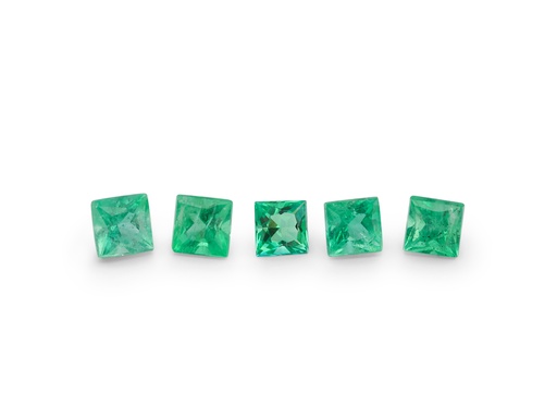 [EQP025A] Emerald 2.50mm Princess Cut