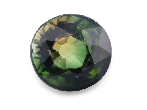 [TUX3471] Bi Colour Tourmaline 7.8x7.4mm Oval