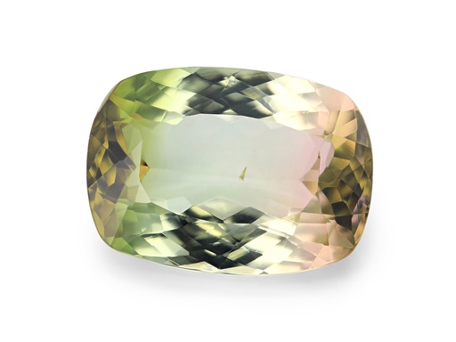 [TUX3283] Bi Colour Tourmaline 14x10.1mm Cushion